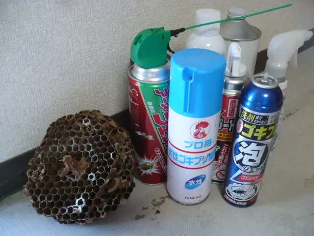 ご家庭で使うハチ駆除に効果的なおすすめスプレーについて